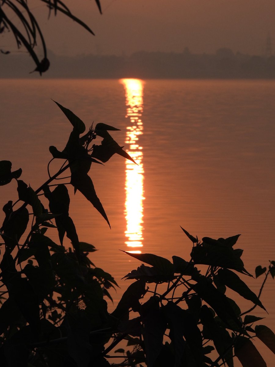 Shot on Nikon CoolPix P900. 

Auto Mode, didn’t even have to make edits.

I know it’s a camera specific for zoom levels, but honestly, it’s a great camera nonetheless if you know the how-to’s. 

<a href="/NikonIndia/">Nikon India Official</a>