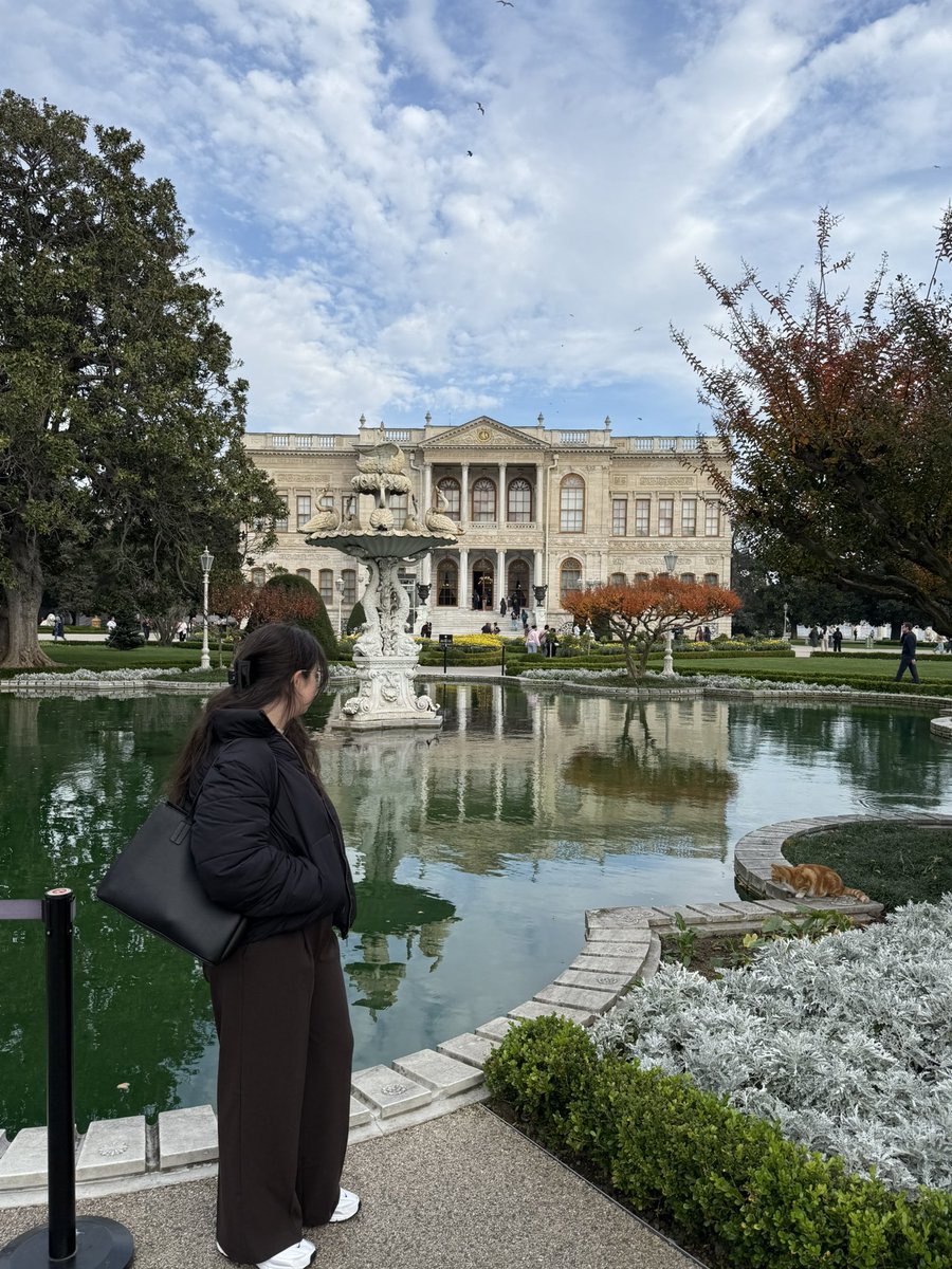 LowKoito's tweet image. City of dreams 🐈