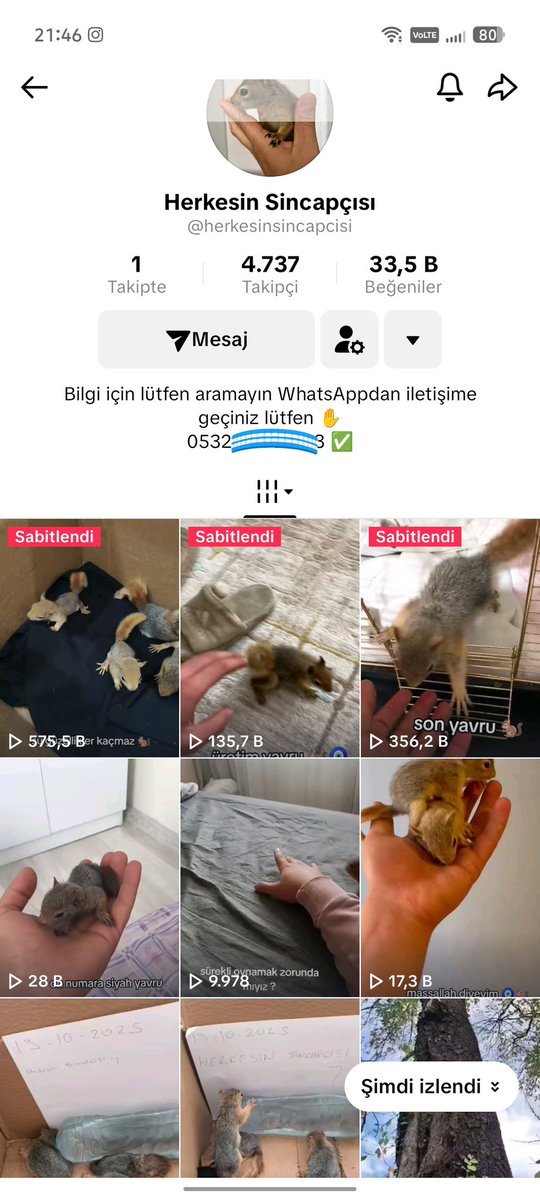 Türkiye'de Yaban Hayvanlarının yasa dışı Ticareti yasak olmasına rağmen İnternet üzerinden ticareti yapılıyor 

Tiktok Hesabı Belli : herkesinsincapcisi

<a href="/milliparklar/">Milli Parklar</a> <a href="/DKMP1Bolge/">DoğaKorumaMilliParklar 1.Bölge</a>
<a href="/TCTarim/">T.C. Tarım ve Orman Bakanlığı</a> <a href="/kadircokcetin06/">Kadir ÇOKÇETİN</a> <a href="/serakadigil/">Sera Kadıgil</a> <a href="/ibrahimyumakli/">İbrahim Yumaklı</a> <a href="/pervintuba/">M P Tuba DURGUT</a> <a href="/nimetozdemir34/">Nimet Özdemir</a>