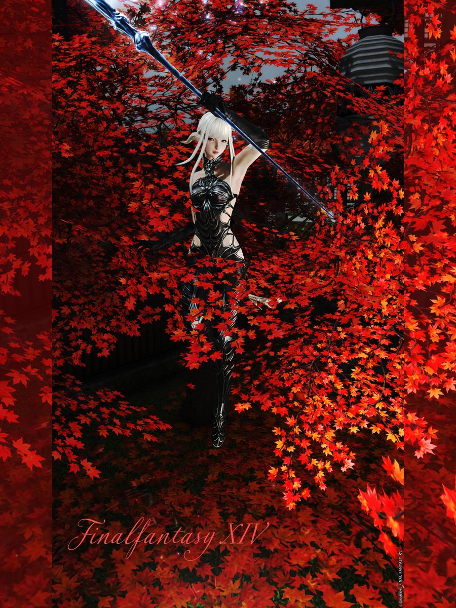 pandaemo_'s tweet image. 紅葉

#7th_photo　＃FF14