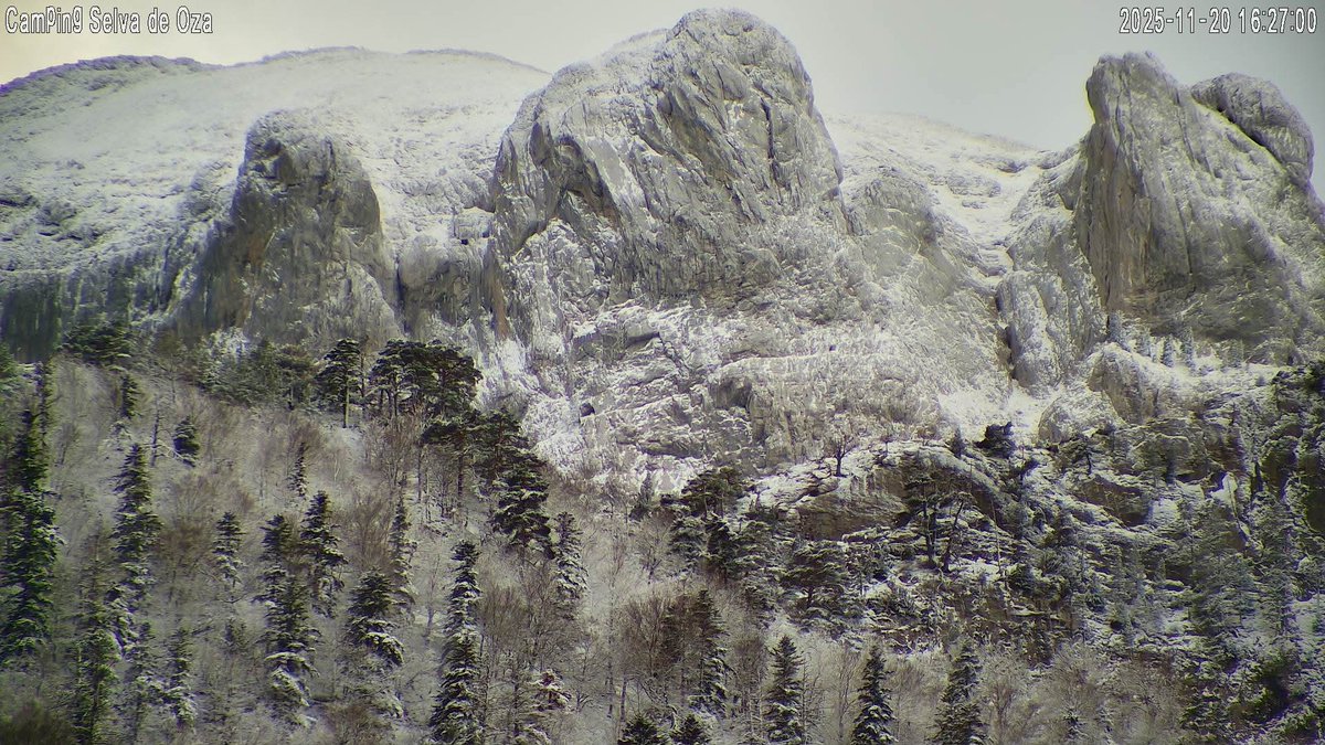 Preciosa imagen de los ligeramente nevados murallones de Peña Forca (2390m) desde la Selva de Oza (1160m,Valle de Hecho,Jacetania,Pirineo Occidental Aragonés) la tarde de hoy 20 de Noviembre de 2025 Jueves.
