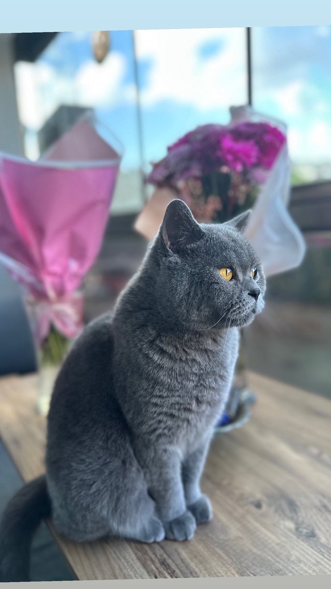 Oğlum 🥰🥰 sarı….