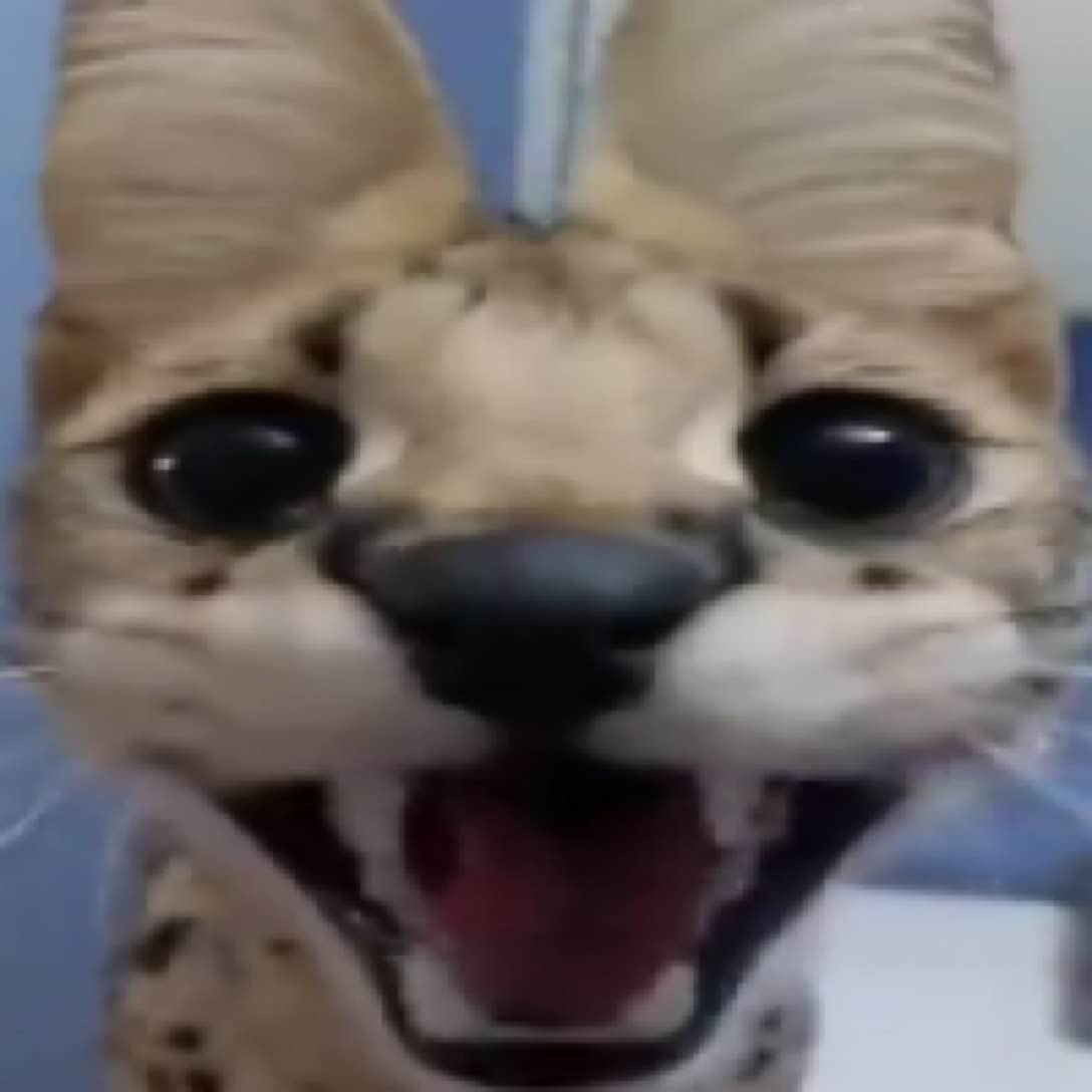 Cherryfi tweet media