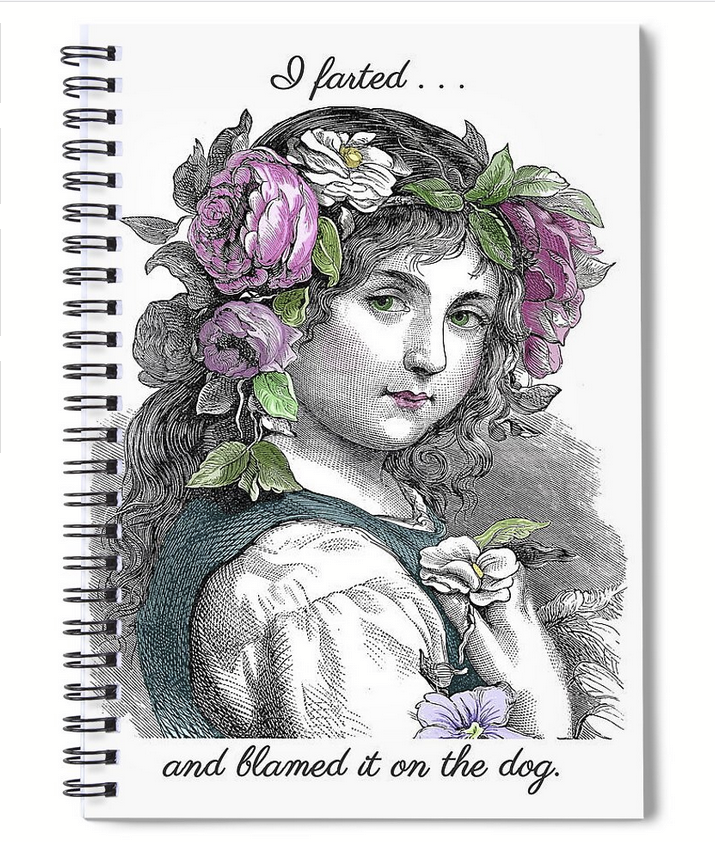 Evie_Hourglass's tweet image. 38% Off! My Farting Girl Spiral #Notebook, $9: fineartamerica.com! fineartamerica.com/featured/birth… #writing #notes #vintage #flowers #vintagestyle #onlineshop #vintagecharm #cute #vintageart #OnSale
