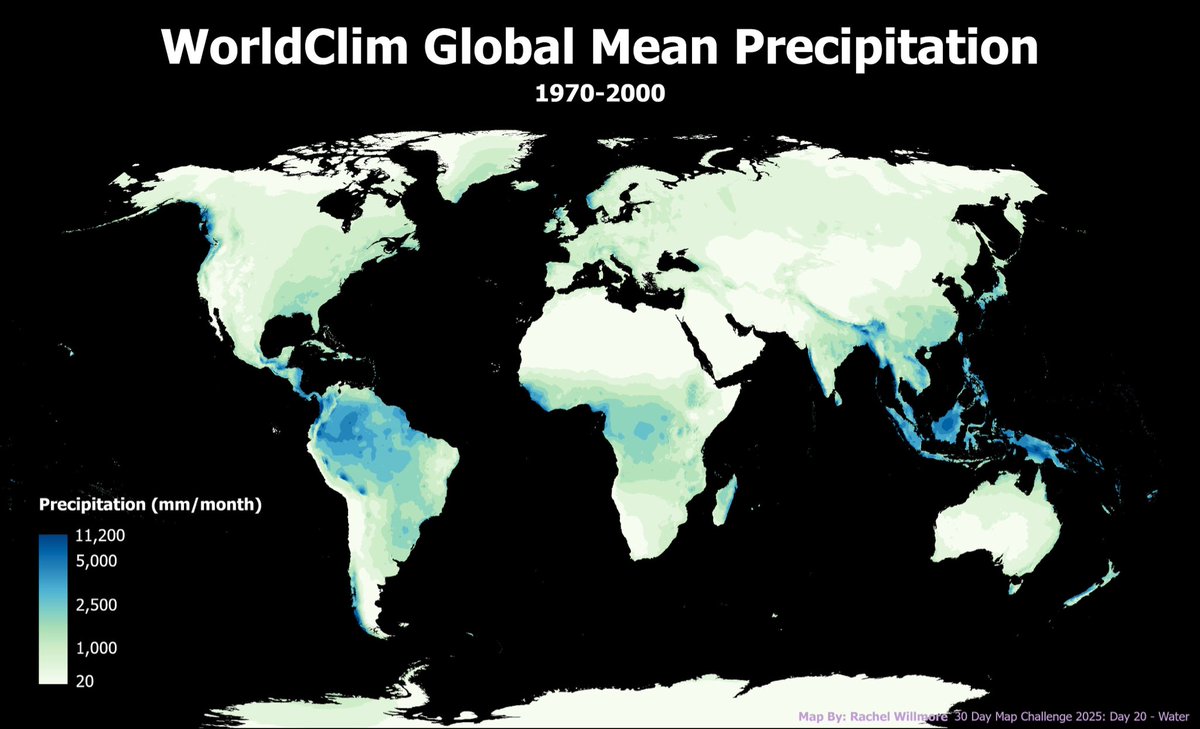 RachelWillmore's tweet image. #30DayMapChallenge
Day 20: Water - Global Mean Precipitation 1970-2020
Data from worldclim.org