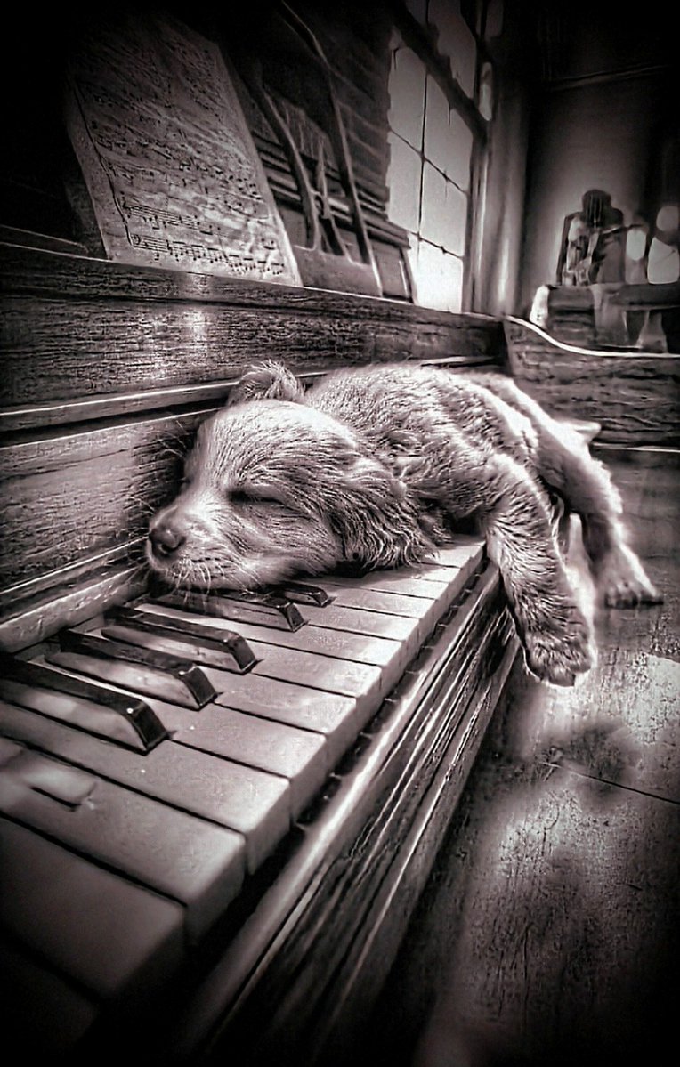 Eye_AM_Delphi's tweet image. Good night 🫶 Cyber Jedi🙏 

The Twilight whispers promises God already planned while you were sleeping 🌃😴💤
x.com/WildflowerAZ1/…