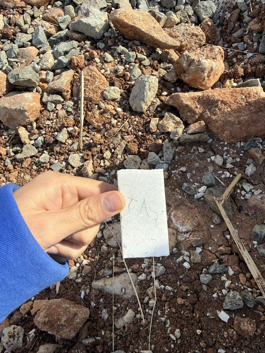 Halacım (yeğenim 6 yaşında) bunu bize neden yaptın 😩