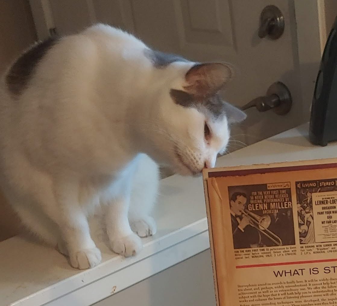 Tam ✻ 🍉 COMMS OPEN! tweet media