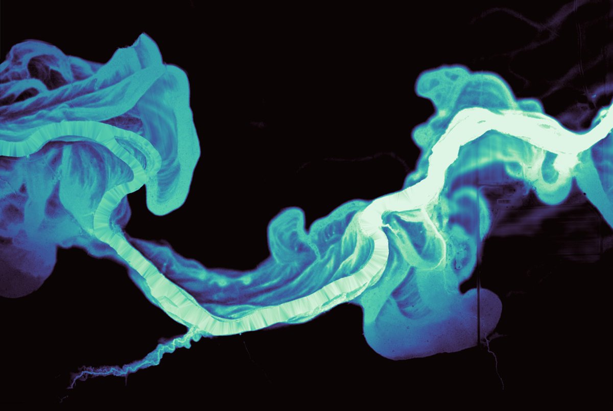 JuanchiParra's tweet image. #30DayMapChallenge | Day 20 - Water

For today&apos;s challenge, I created a representation of the Mississippi River in the United States using its digital elevation model and light detection and ranging.

Tools: QGIS