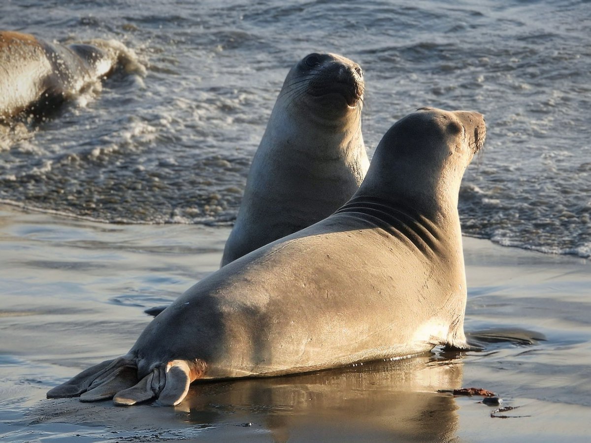 号 (@gogo___xo) / Posts / X