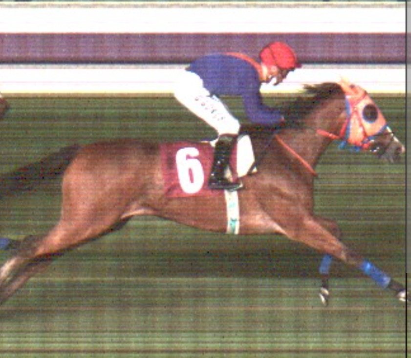 Torok'un en çok eşleştiği kısraklardan bir tanesi HAPPY VALENTINE'dır.

Torok × Happy Valentıne orijinli doğan 5 tayın hepsi yarış koşmuş olup bunlardan 4'ü yarış kazanmıştır. Bu 4 isim ise şunlardır:

🐎 DRAGON FLAME
🐎 DRAGON FIRE
🐎 DRAGON FORCE
🐎 SHINING GLORY