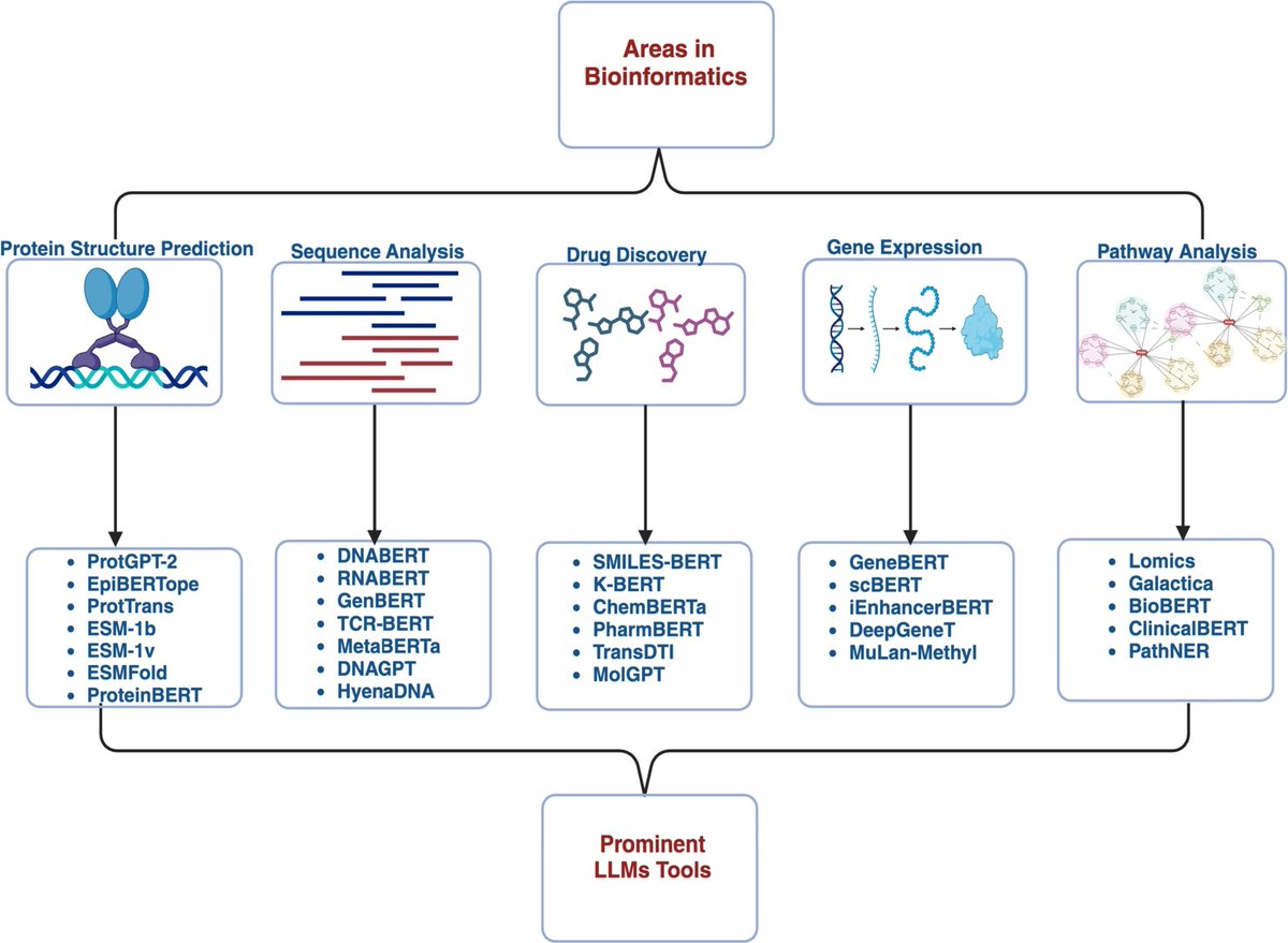 CSB_Journal's tweet image. 🔗 Large language models and their applications in bioinformatics. DOI: doi.org/10.1016/j.csbj…

📚 CSBJ: csbj.org

#Bioinformatics #ArtificialIntelligence #LargeLanguageModels #ComputationalBiology #Genomics #Proteomics @CSB_Journal