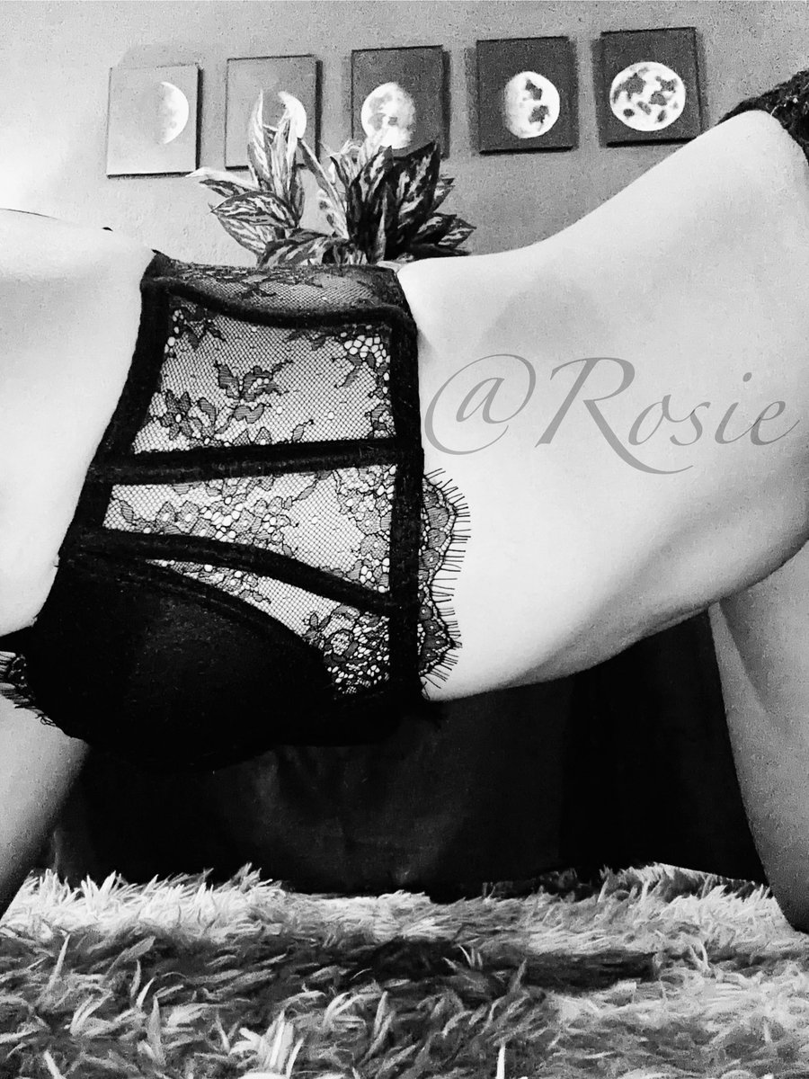 Rose 🦄🌹 tweet media
