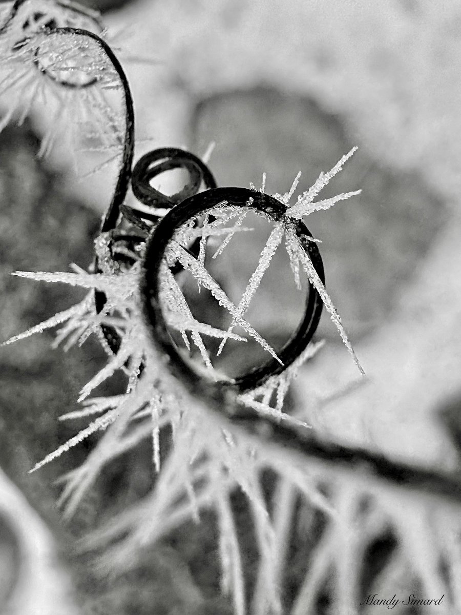 𝕏  marks the spot!