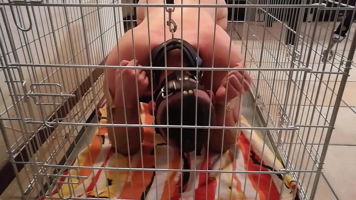 Slave will be locked up after every use
Chained, gagged
Usage could be hours or days apart
Slave will not talk
No phone, no entertainment, no life
Slave is a sex toy for master's use
Meals will be piss soaked and not often
Slave will go insane from isolation

Application is open