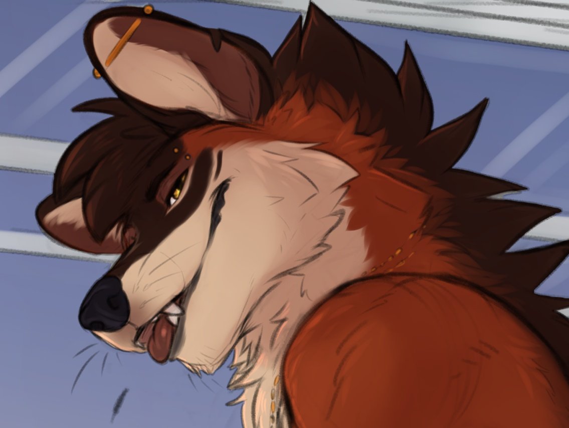 Your local stapler cat 🔞 🔜 FWA2026 tweet media