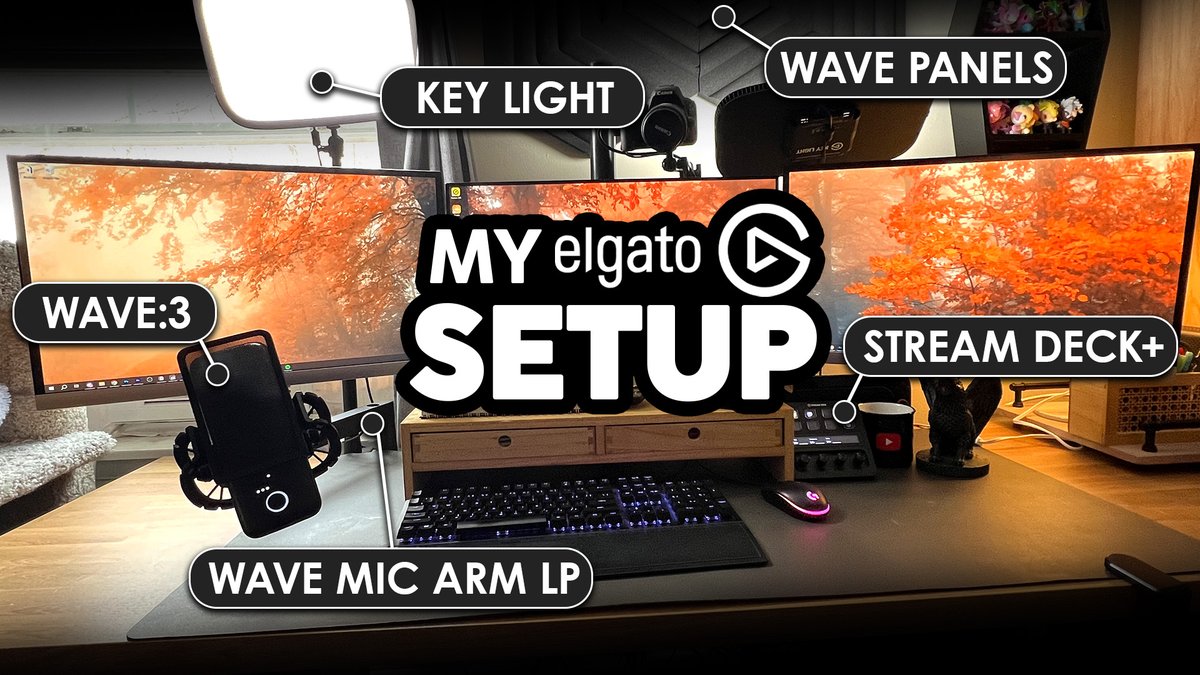 Gryphi 🦋 tweet media