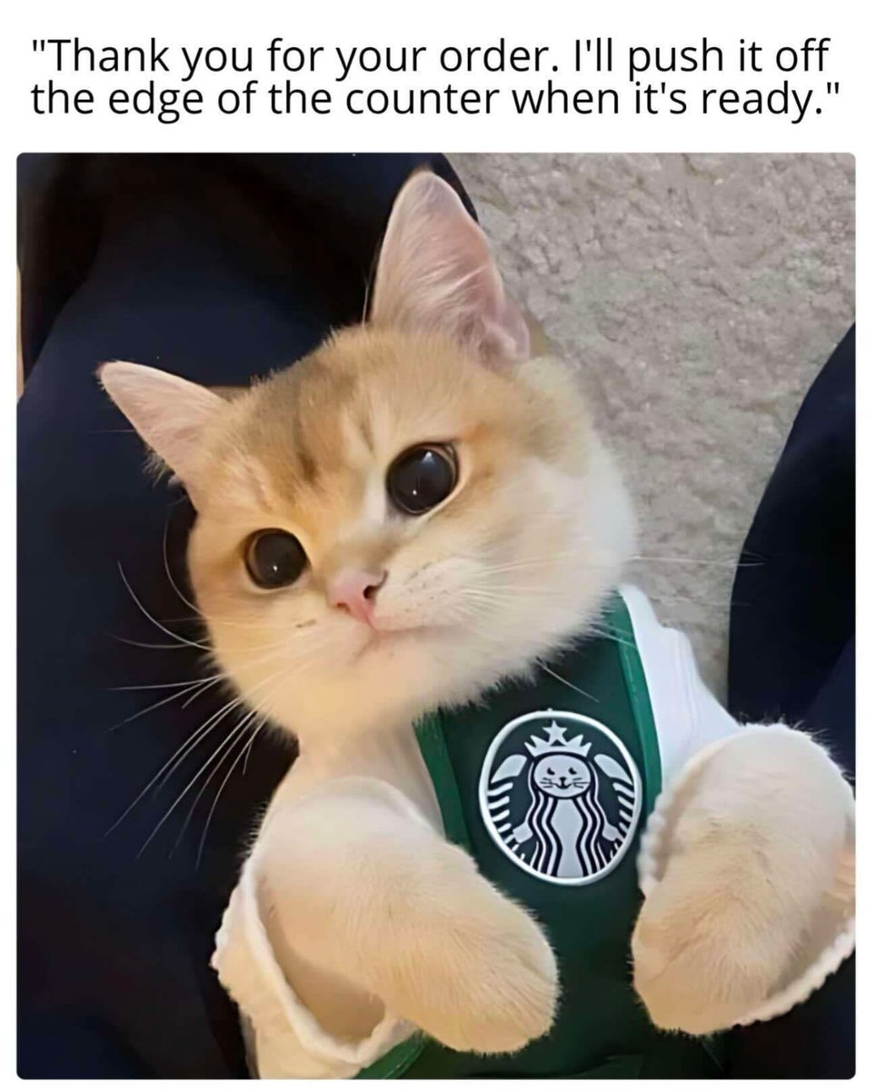 Cats with jobs...