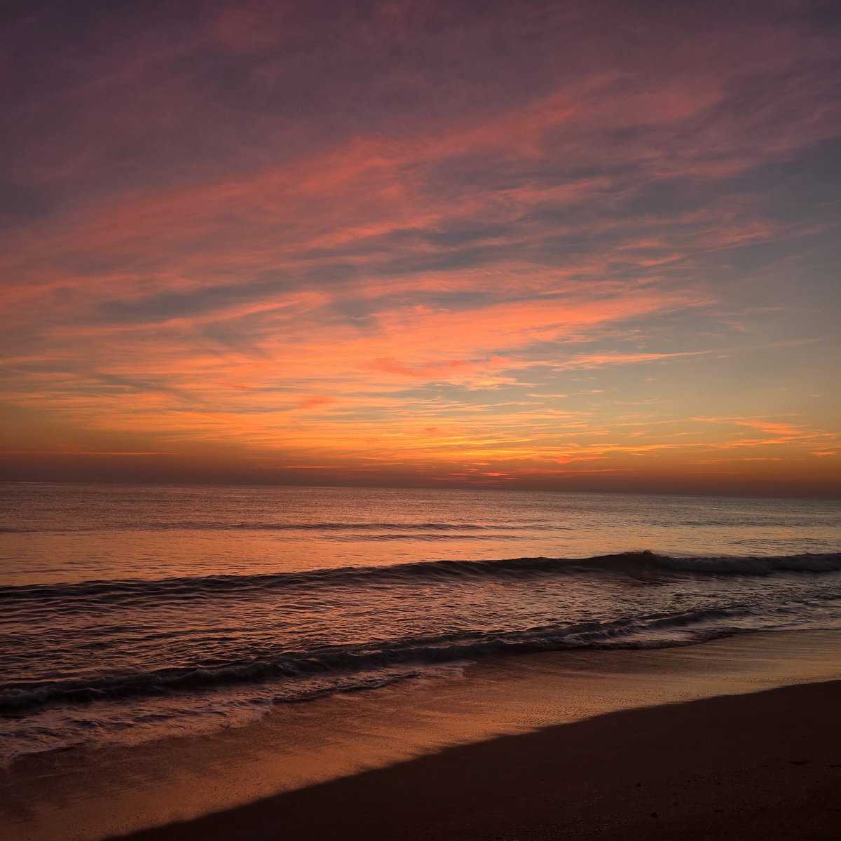 AccessArchitect's tweet image. The life I choose