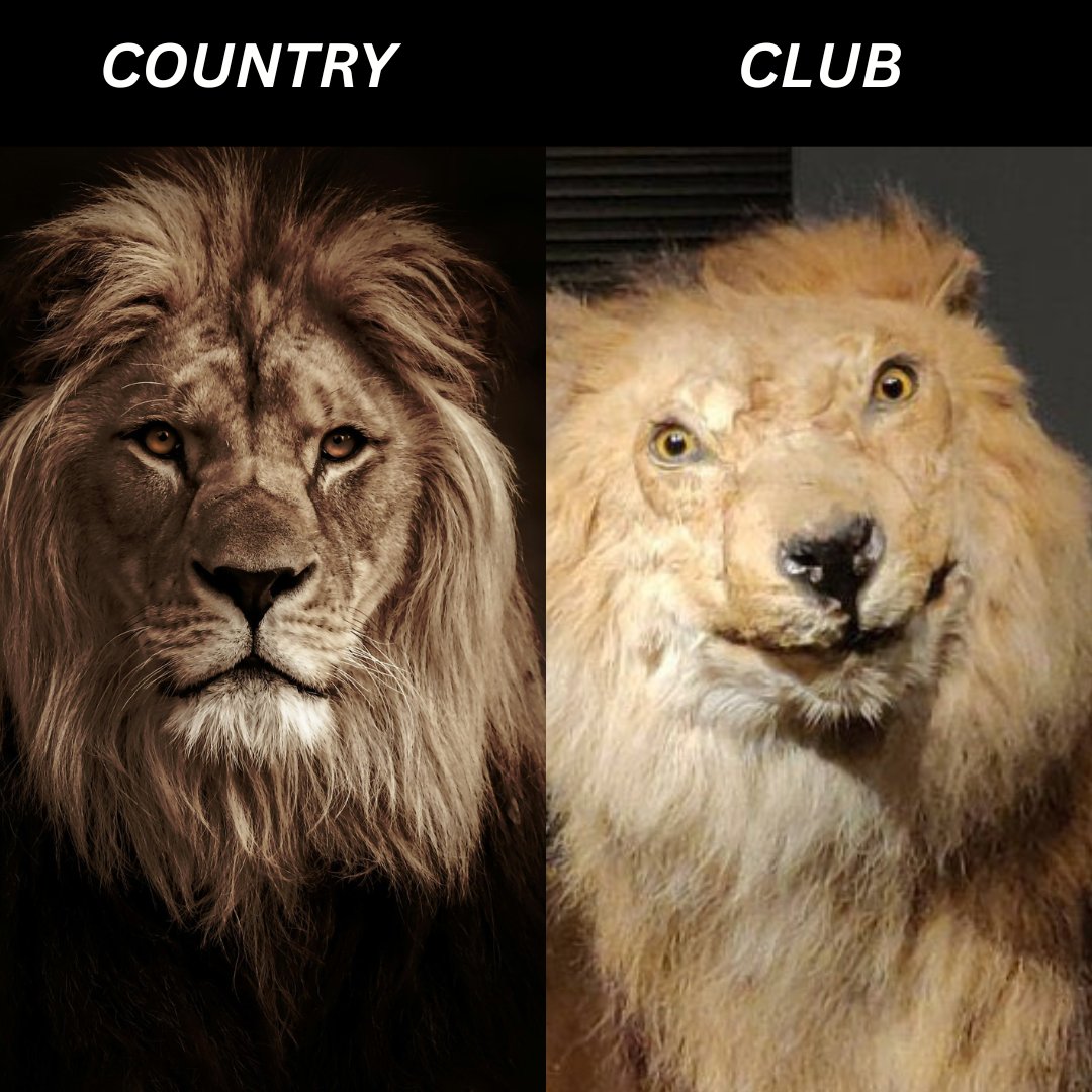 (fan) That-Tall-Fair-guy 🧐 Do You Know Football? tweet media