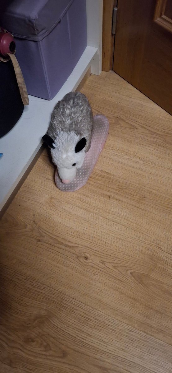 pussyposum's tweet image. dame mi zapatilla..