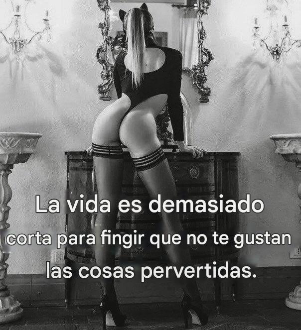 Pasion969 tweet media