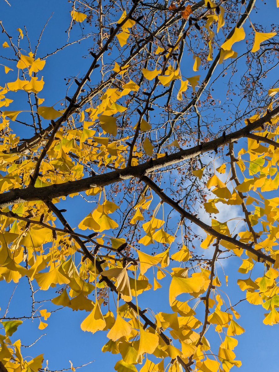 Stéphanie Migniot tweet media