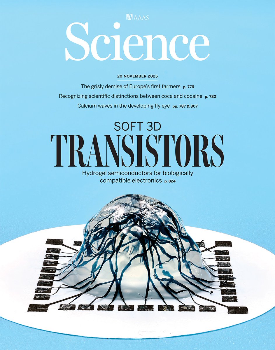 ScienceMagazine's tweet image. This image shows three-dimensional, millimeter-thick, and cell-embeddable semiconducting hydrogel fibers. These fibers can be used to construct interwoven living transistors that mimic real neuronal connections in the brain, redefining the boundary between technology and life.…