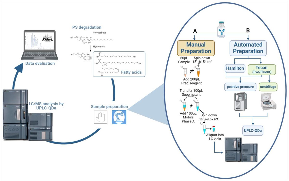 MPs_MDPI's tweet image. 📢 2024 Highlight:

FAMS, a targeted MS method to monitor fatty acids from polysorbate hydrolysis, supporting improved stability in biopharmaceuticals.
By Anja Bathke et al.

🔗 mdpi.com/2409-9279/7/5/…

#Biopharmaceuticals #MassSpectrometry #MPsMDPI #OpenAccess