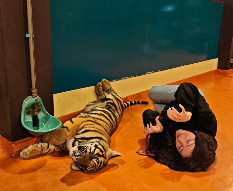 gm chat 

battling a respiratory illness this week and got my lungs drained today 😴

anyway here’s me on the floor with a tiger cub