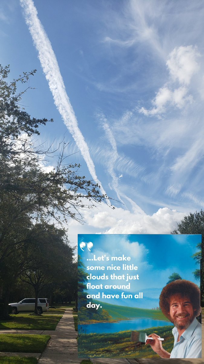 protocolkills's tweet image. Remember when Bob Ross taught us how to make &quot;happy little clouds&quot;? They don&apos;t look happy anymore.