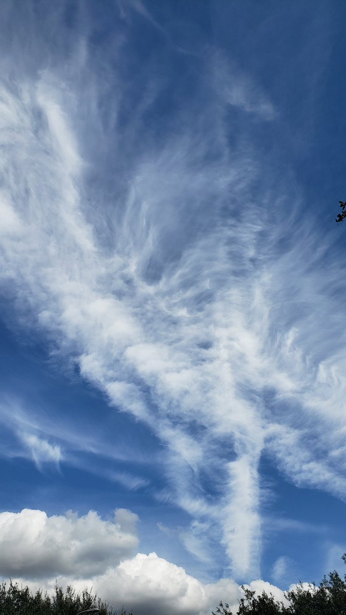 protocolkills's tweet image. Remember when Bob Ross taught us how to make &quot;happy little clouds&quot;? They don&apos;t look happy anymore.