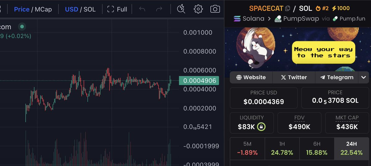 Spacecat CTO tweet media