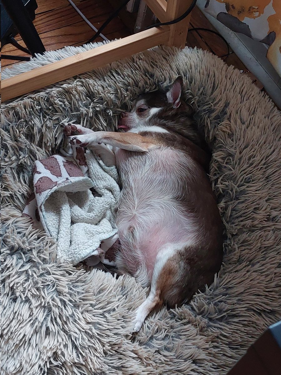 CuLightSource's tweet image. My son