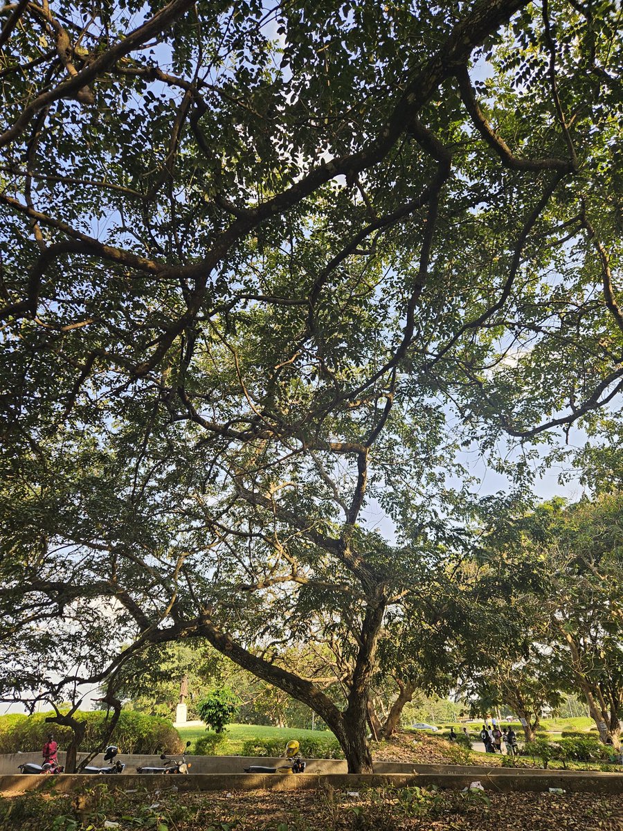 SENATOR_MEDIA_'s tweet image. Shot this with my Samsung 23 @samsungmobileng  How many likes for S25 Ultra.

OAU students where is this? 

#OAUTWitter