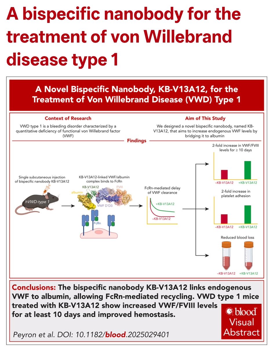 richardbuka's tweet image. The world needs this treatment. Really exciting preclinical work in @BloodPortfolio on a bispecific nanobody that links VWF to albumin to increase VWF levels and reduced bleeding. 

There&apos;s also an editorial from world expert on VWD, James O&apos;Donnell