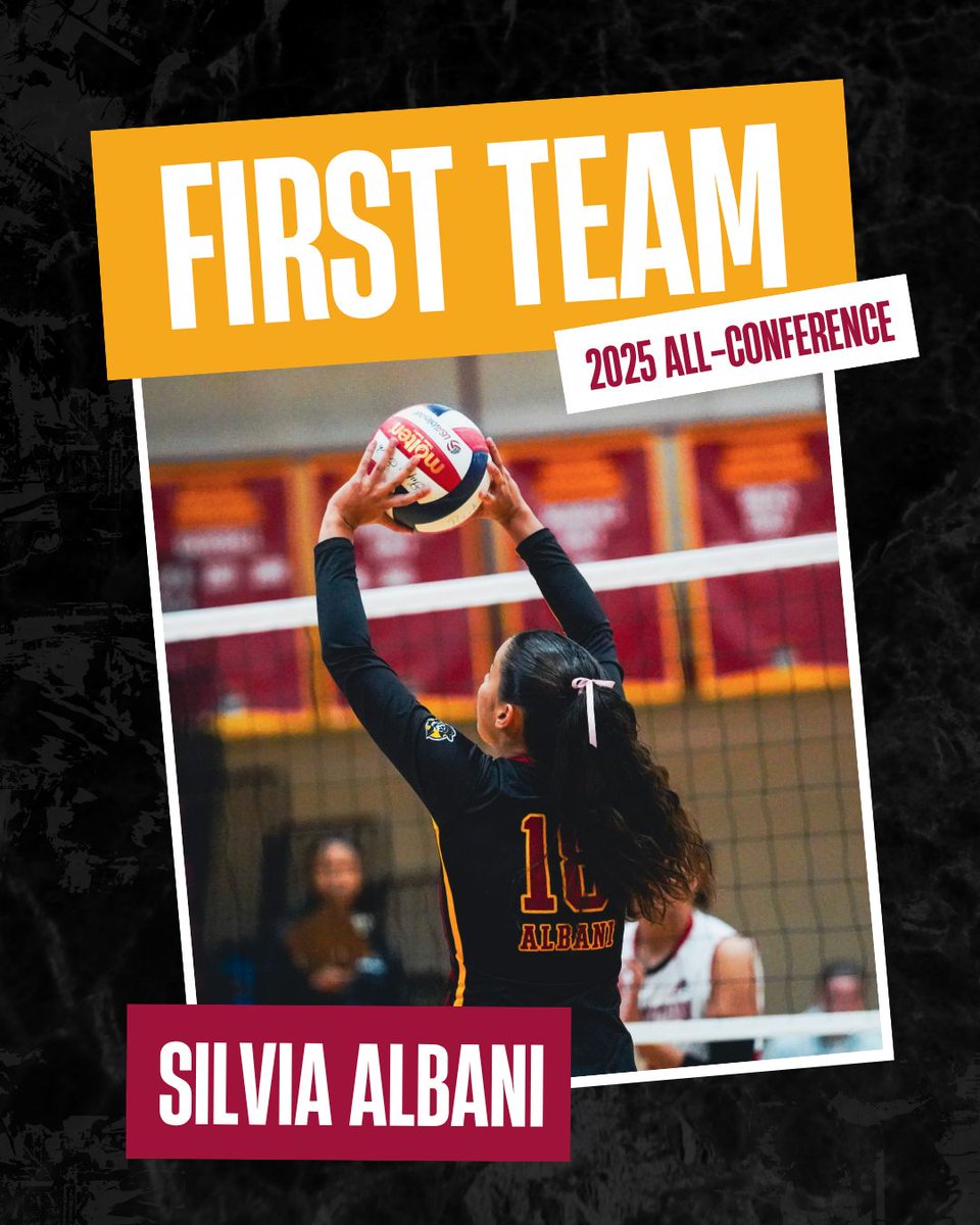 ParkPirates's tweet image. Congratulations to our Women&apos;s Volleyball Pirates who earned 2025 All-Conference honors!
Your hard work, leadership, and impact on the court this season did not go unnoticed. We are so proud of each of you!
#ParkPirates | #HeartConference | #AllConference | #PirateNation