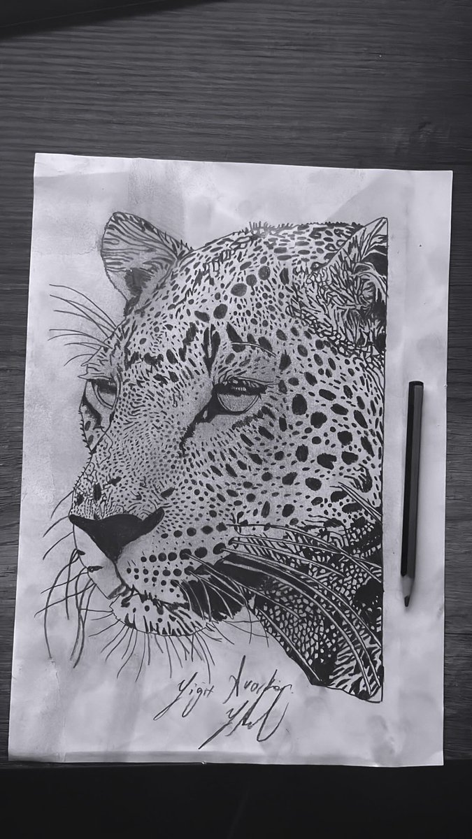 Avarkan (@avarkan_) on Twitter photo 