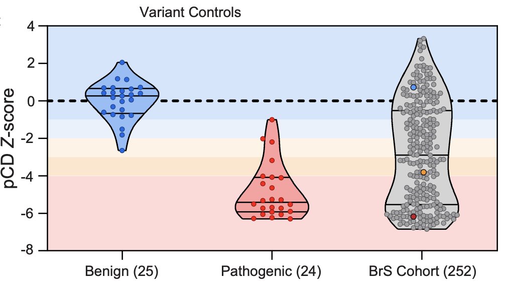 amglazer's tweet image. Using our calibrated automated patch clamp assay, we identified 146 abnormal function variants and reclassified 110 VUS. [2/4]
