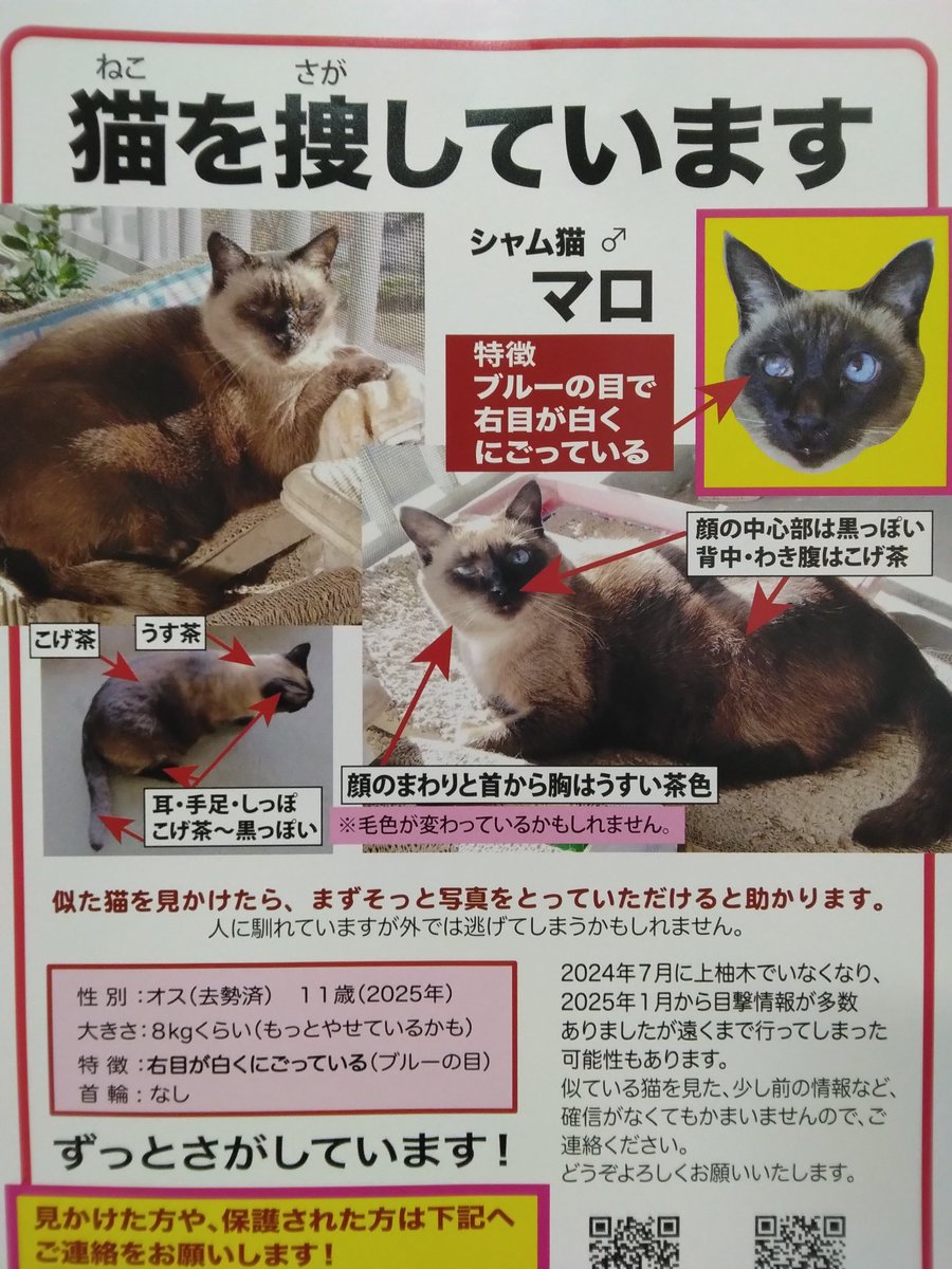 maro202407's tweet photo. #拡散希望
#八王子市 #上柚木
#東京都 #神奈川県 #日野市 #シャム猫 #迷子猫 #迷い猫 #猫 #探しています #行方不明 #絹ヶ丘 #長沼 #越野 #下柚木 #南大沢 #鑓水
2024年7月に八王子市上柚木で行方不明になった猫の「マロ」を探し続けています
些細なことでも構いませんので情報提供よろしくお願いします https://t.co/TUlmifJjPM