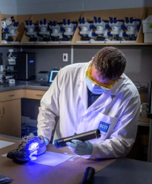 BCITForensics tweet media