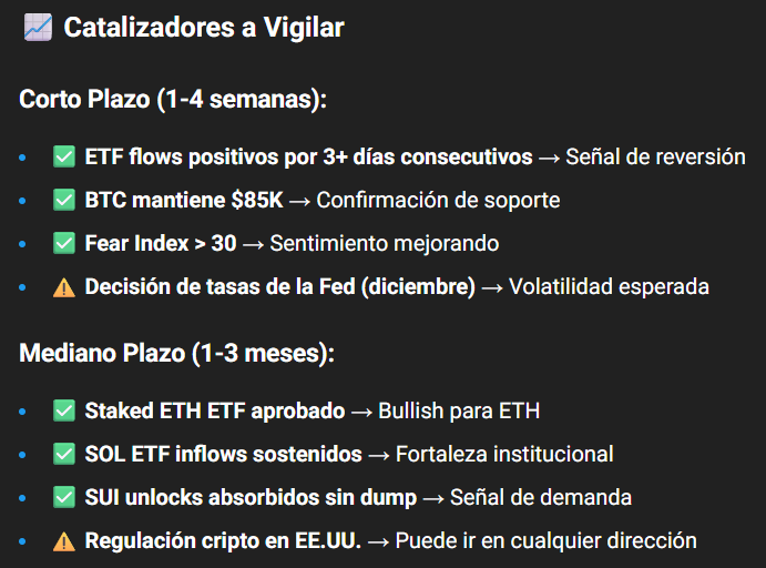 Jorge Zam ✈️ tweet media