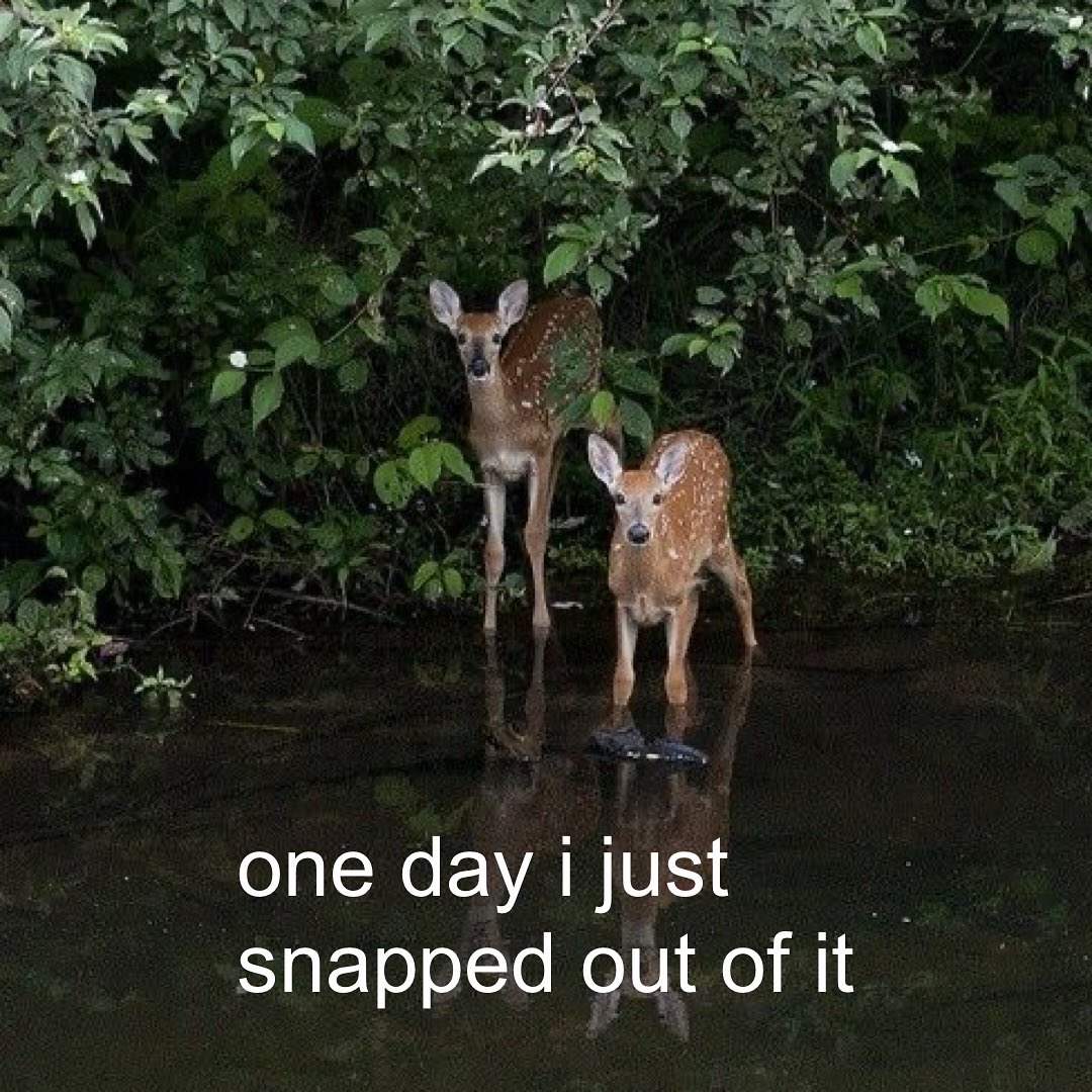 CalmDeion's tweet image. 