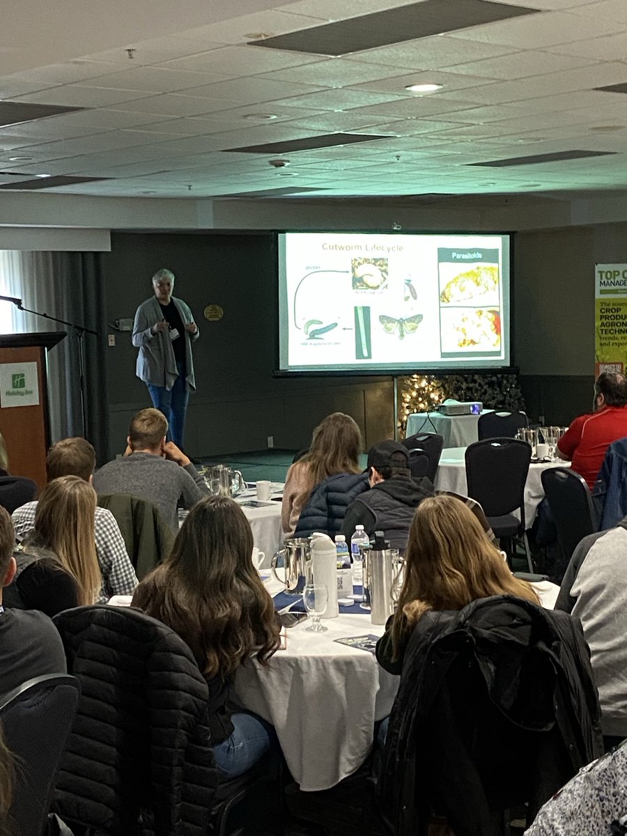 cdnagro's tweet image. Jennifer Otani talking cutworms ⁦@TopCropMag⁩ Summit Grande Prairie