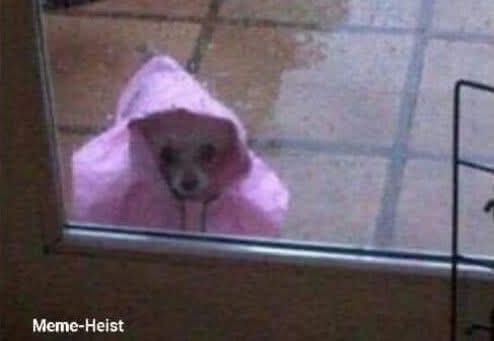 When he says he won't be around this rainy days, but you remember mama didn't raise no fool. so you show up at his place like😂