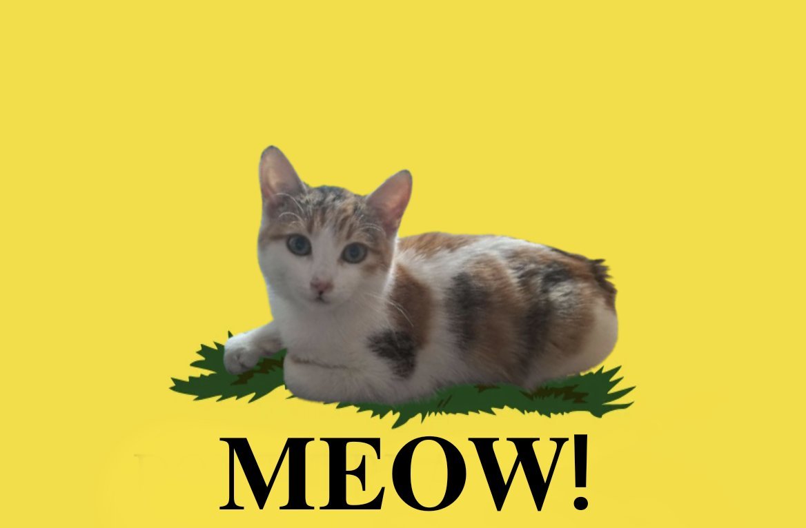 Techuuu1's tweet image. niewiem kto to zrobił ale wysłal  to @kosimazaki_321