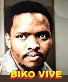 Consciência Negra é uma ferramenta política: um instrumento para uso  de grupo que necessita agir coletivamente para superar as condições de discriminação que foram construídas para excluí-las de benefícios materiais e de direitos sociais. Mais:  berla.short.gy/04s535