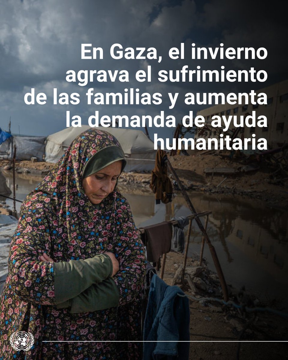 ONU_es's tweet photo. Carpas inundadas. Temperaturas gélidas. Alimentos arruinados.

En Gaza, muchas familias afrontan otro invierno expuestas a condiciones extremas.

El Programa Mundial de Alimentos (WFP) está ampliando su asistencia para salvar vidas, pero se necesita mucho más apoyo para llegar a quienes corren mayor riesgo.

🔄 Apoya la labor de @WFP_es  como te sea posible.