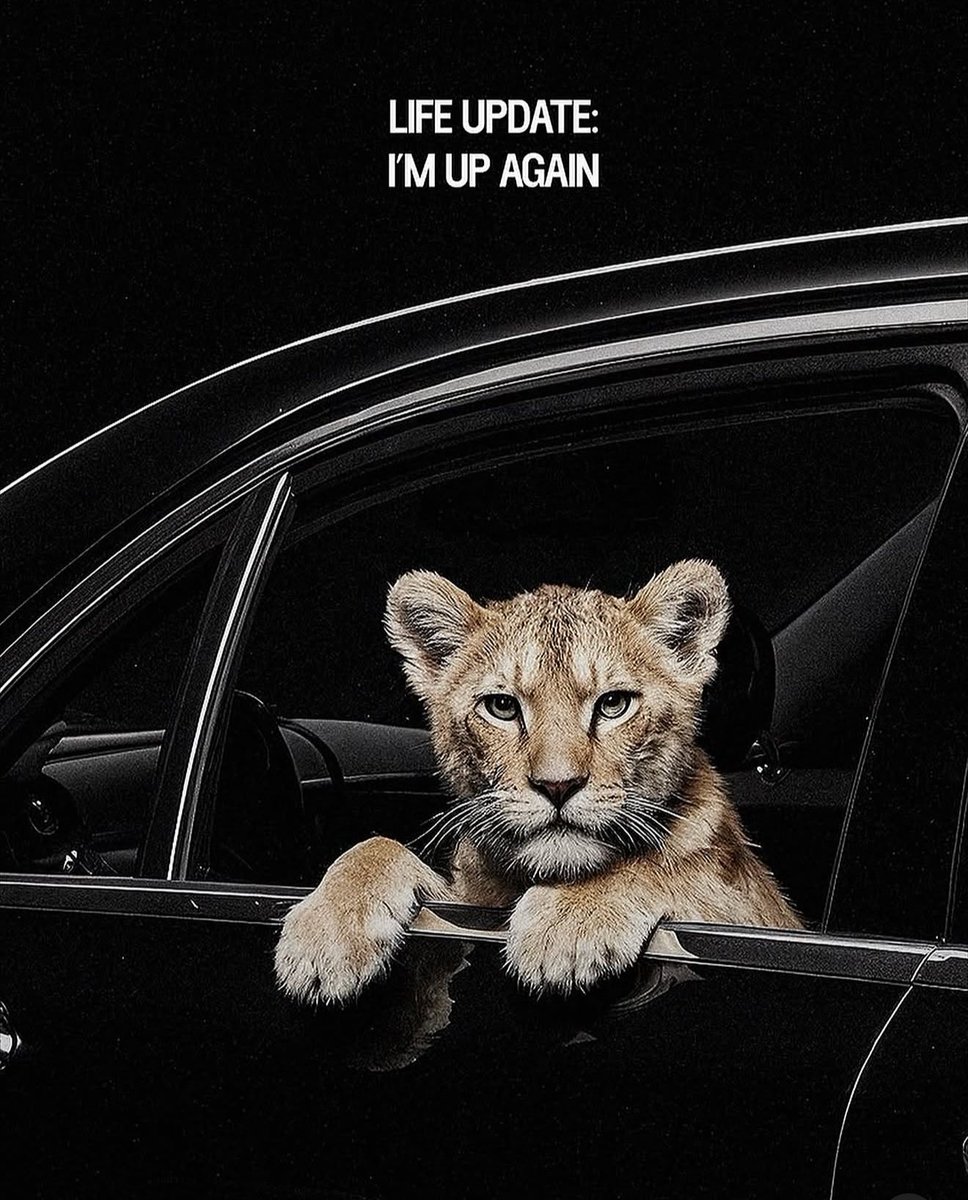 CryptoNiz (@cryptonazer) on Twitter photo 