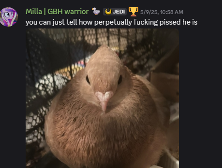 Kcalbug Abuses Animals tweet media